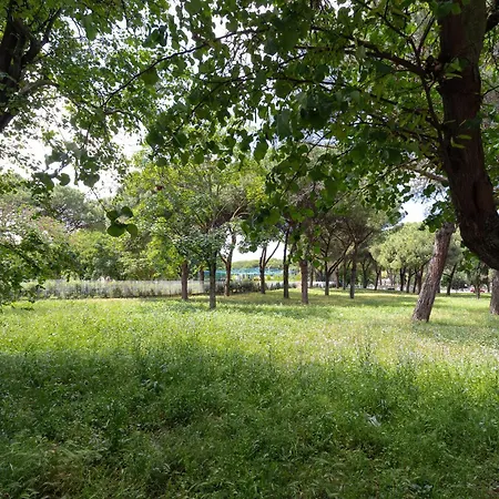 Ges House דירה רומא